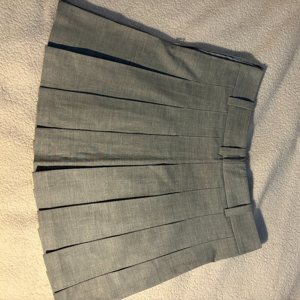 Aritzia Skirt